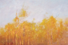 AUTUMN BIRCH - OIL ON BOARD