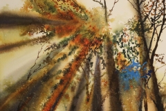 LOOKING UP - WATERCOLOUR