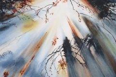 TREES, LIGHT AND COLOUR - WATERCOLOUR (NFS)